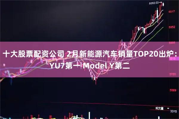 十大股票配资公司 2月新能源汽车销量TOP20出炉：YU7第一 Model Y第二